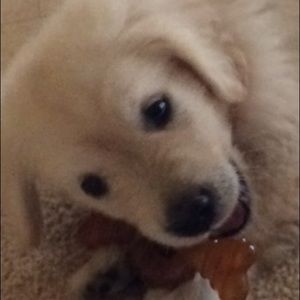 Meet your Posher, Mia